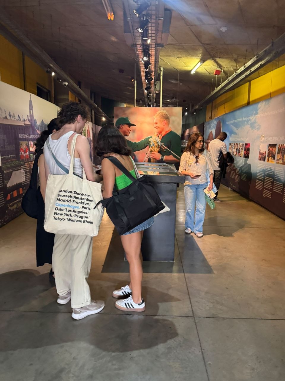 JH Transfers guest journey and South African experience 10