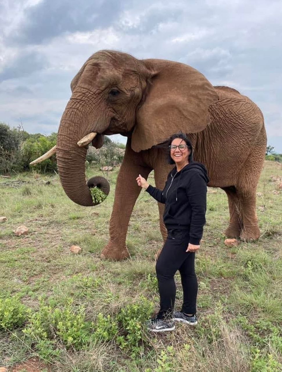 JH Transfers guest journey and South African experience 32